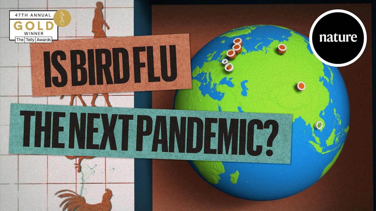 Is bird flu the next pandemic? The science so far.