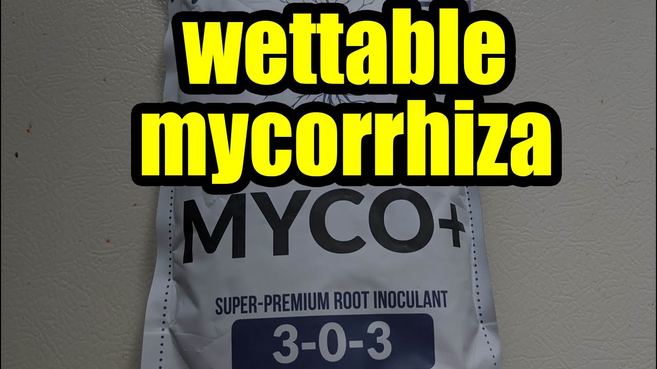 Myco mycorrhiza fungi spores, wettable, able to apply with water!