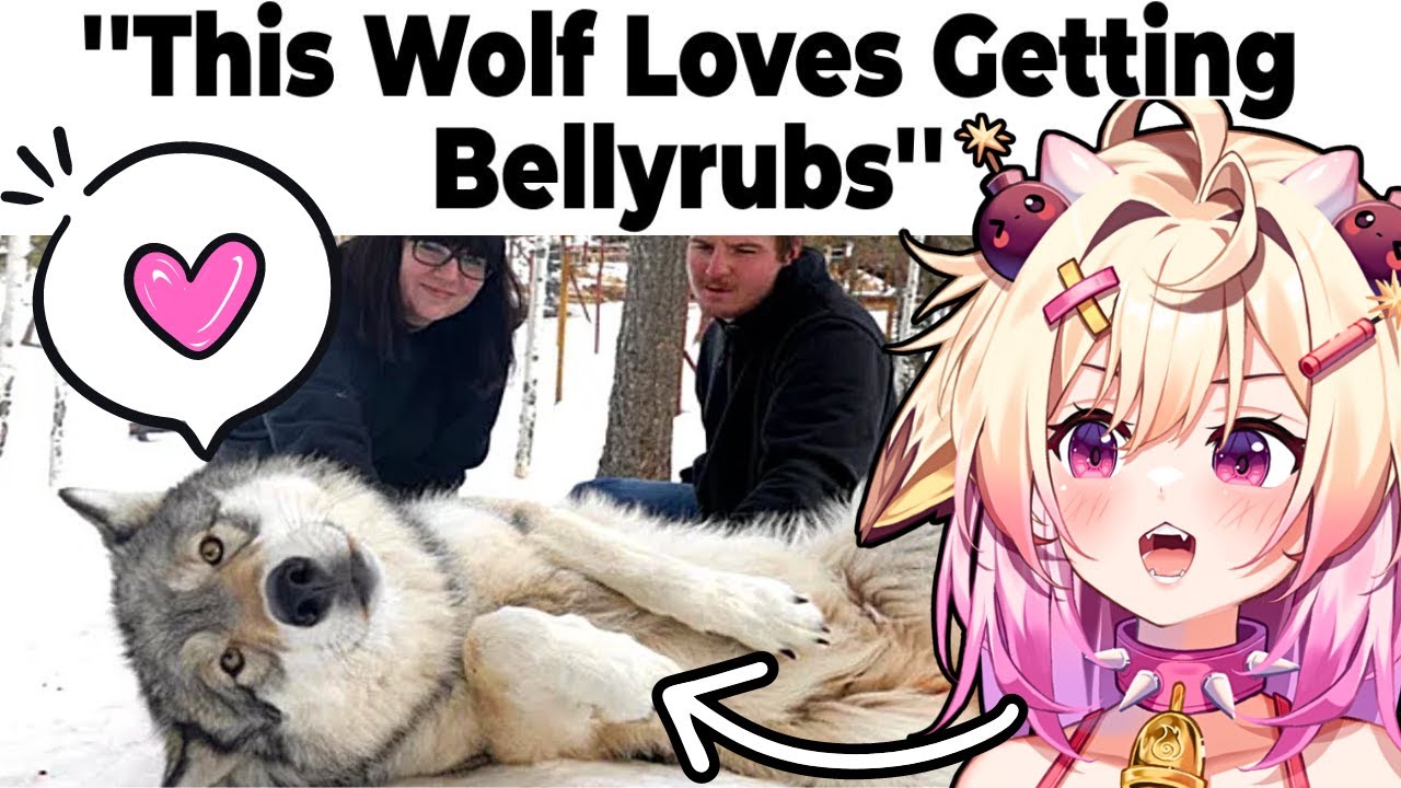 wholesome Memes! | rosiebellmoo reacts
