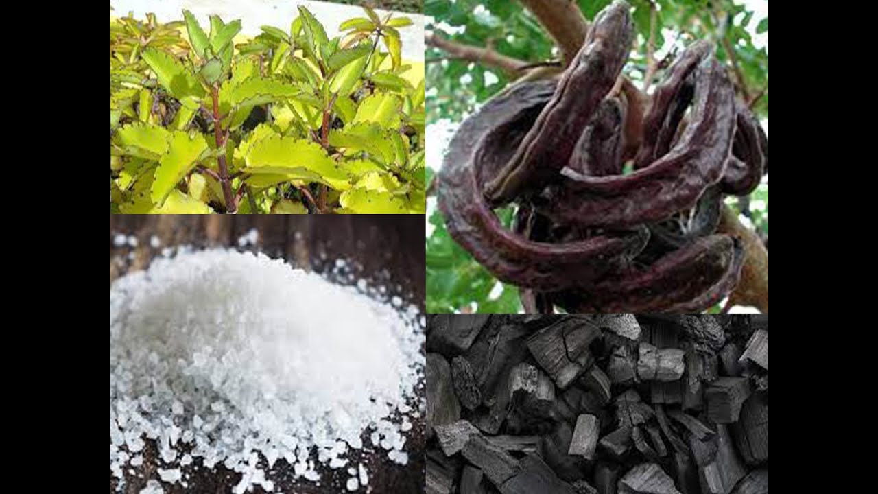 The Use of Prekese, Charcoal, Tamewu to Protect Yourself