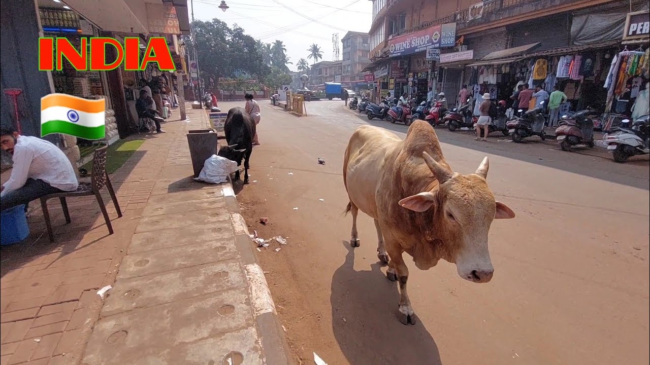 GOA INDIA 🇮🇳 Street Walk, What's Happening?!