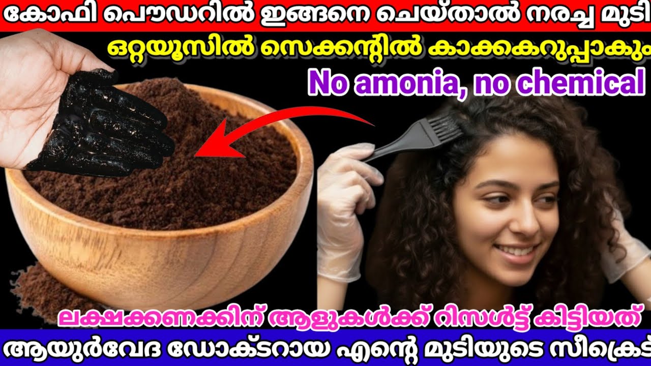 ✅കോഫി പൌഡറിൽ കുറച്ചു ഷാംപൂ ഇങ്ങനെ ചെയ്‌താൽ വെളുത്ത മുടി കട്ടകറുപ്പാകും ഡോക്ടർ സീക്രെട്  |hairdye 