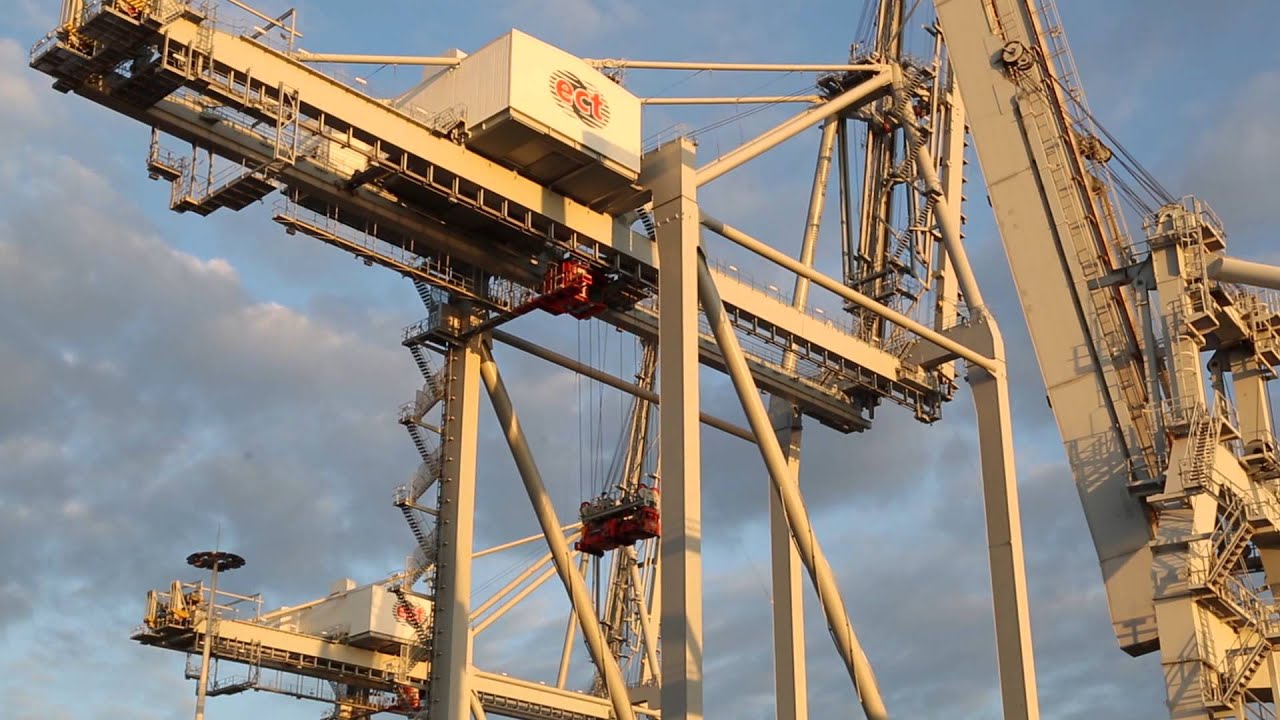 New Quay Cranes; from arrival till operation