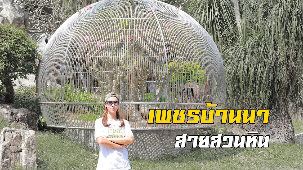 ชวนชมเพชรบ้านนา สายสวนหิน (อุทยานหินล้านปีและฟาร์มจระเข้พัทยา)