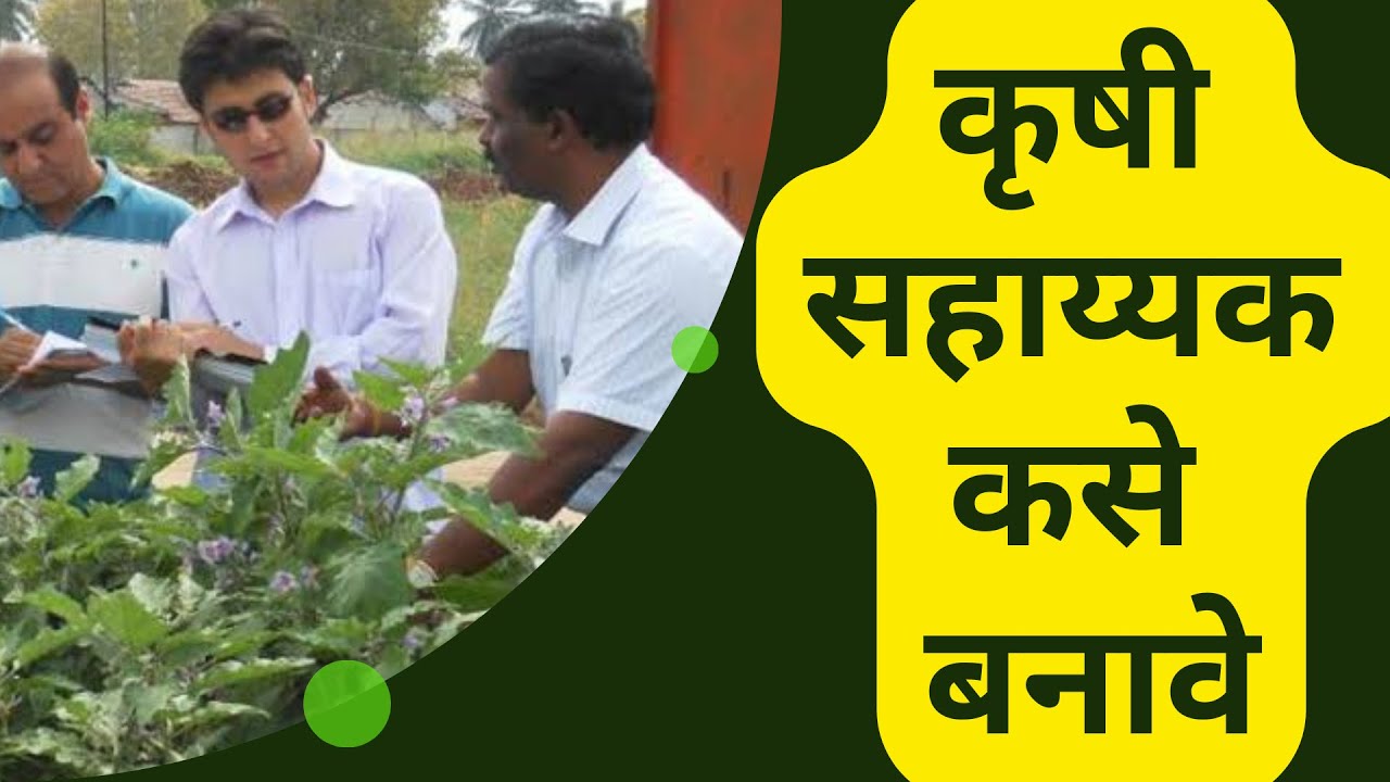 कृषी सहायक : बद्दल सर्व माहिती मराठी मध्ये | How to become Farm assistant (Karashi sahayak)