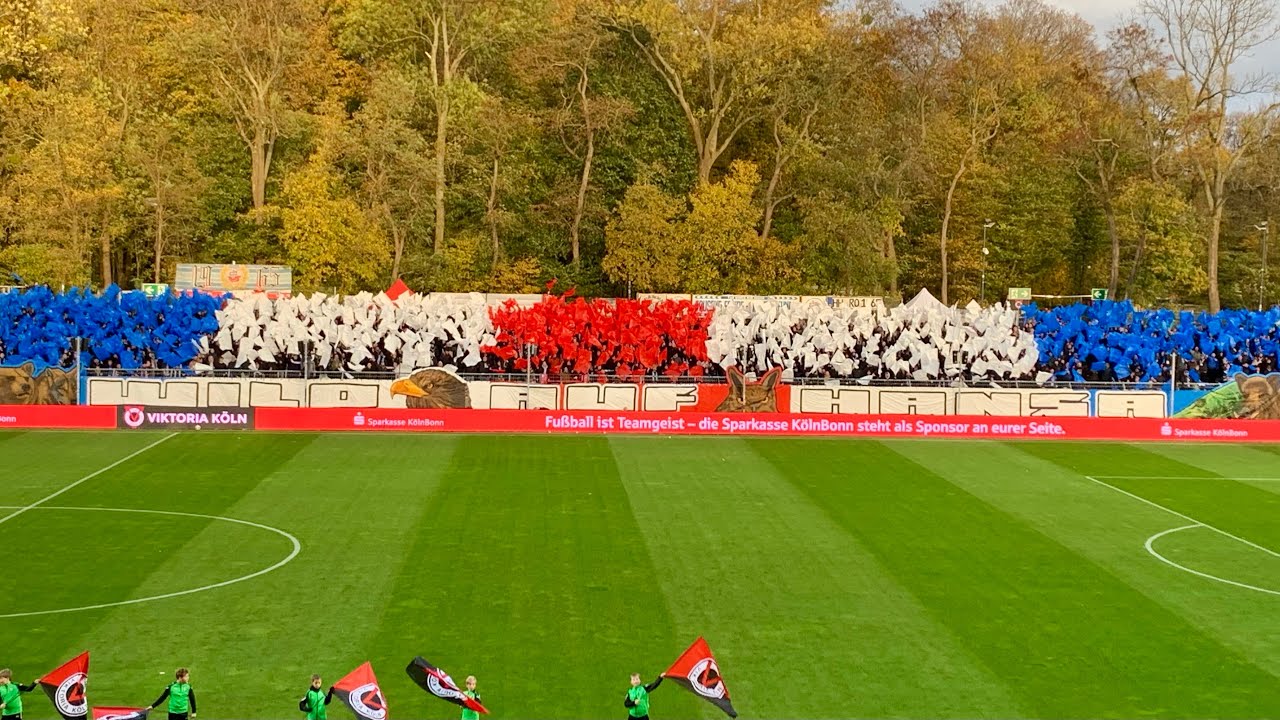 FC Viktoria Köln - FC Hansa Rostock, 26.10.25 - Choreo und Gästeauftritt des FCH - Wild auf Hansa!