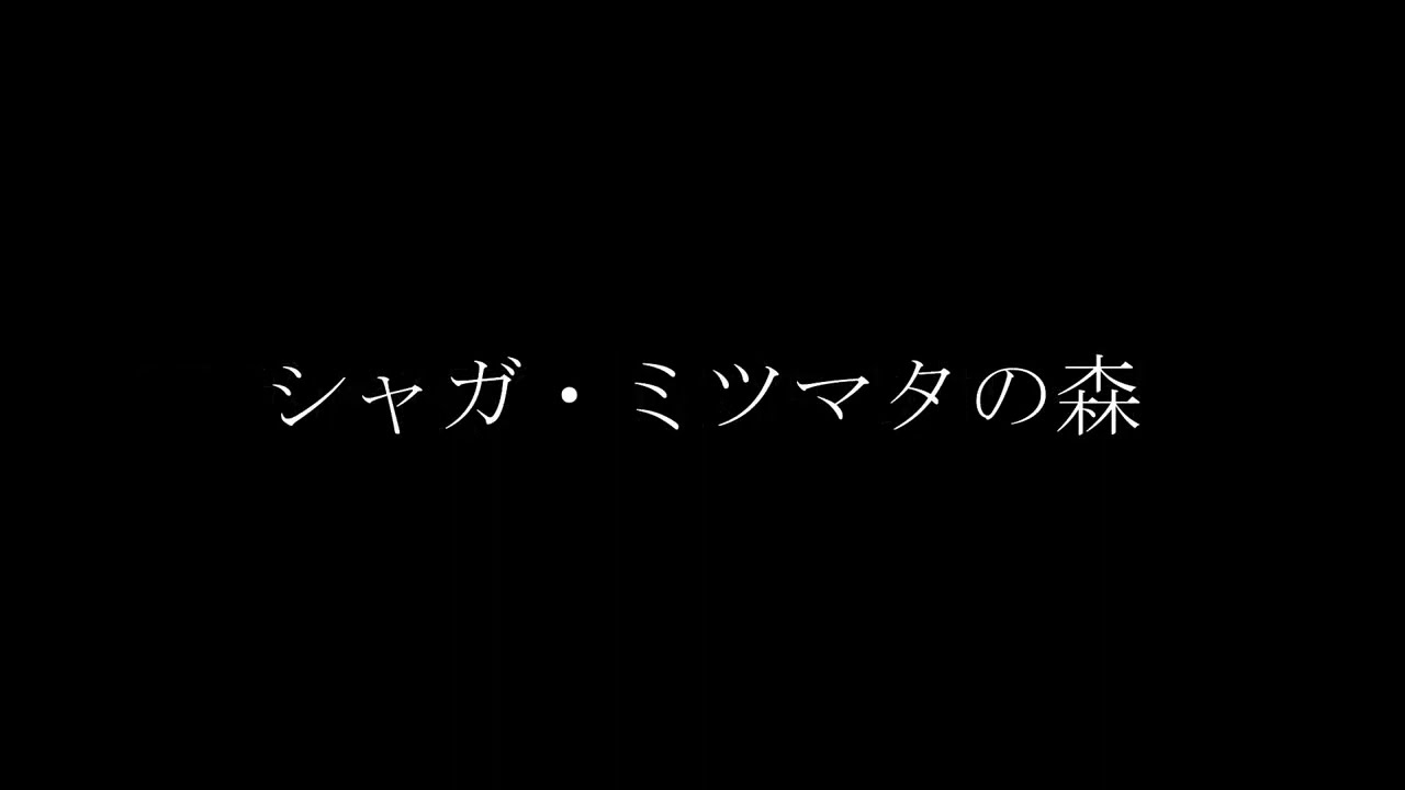 京都UAゼンセン様ミツマタ・シャガ群生地の環境保護活動（ワーケーションツアー撮影動画）