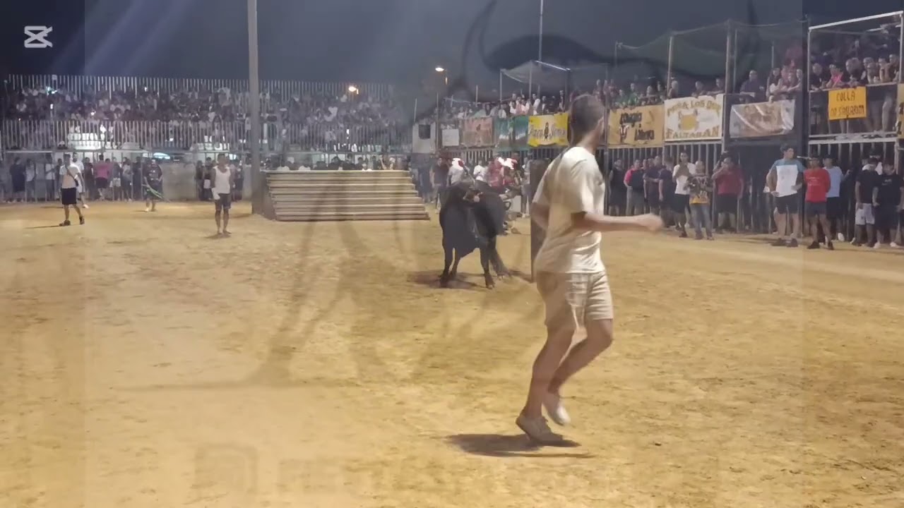 Vacas y Toros Embolados de La Morada en Sagunto