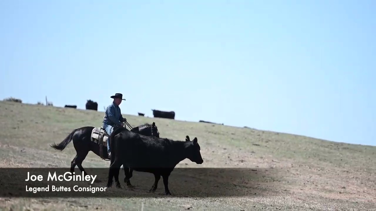 Joe McGinley & Baxter Mecom ~ Legend Buttes Consignor Interview