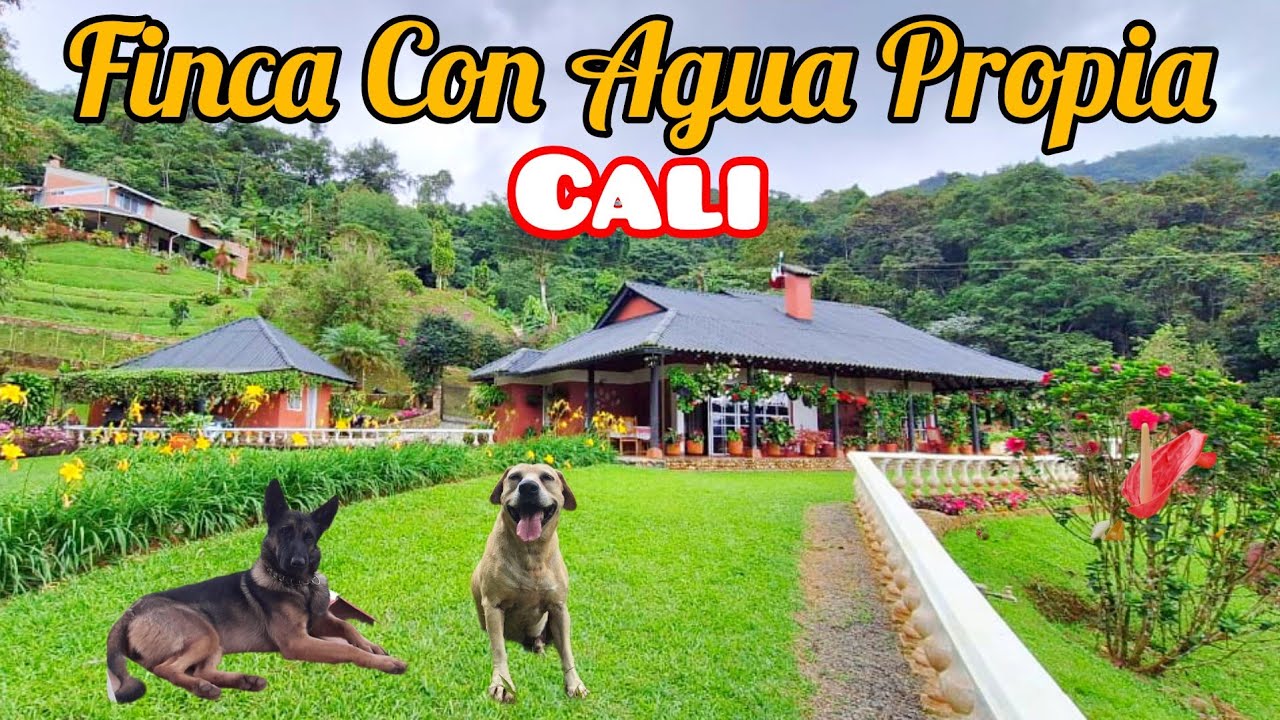 #PEDROPARRA Finca Campestre Con AGUA Propia #Barata Cali Colombia