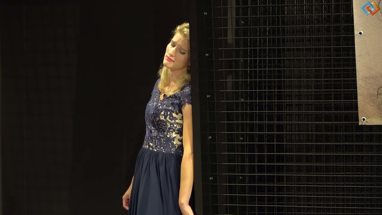 W.A. Mozart: „Mi tradi quell’alma ingrata” from 