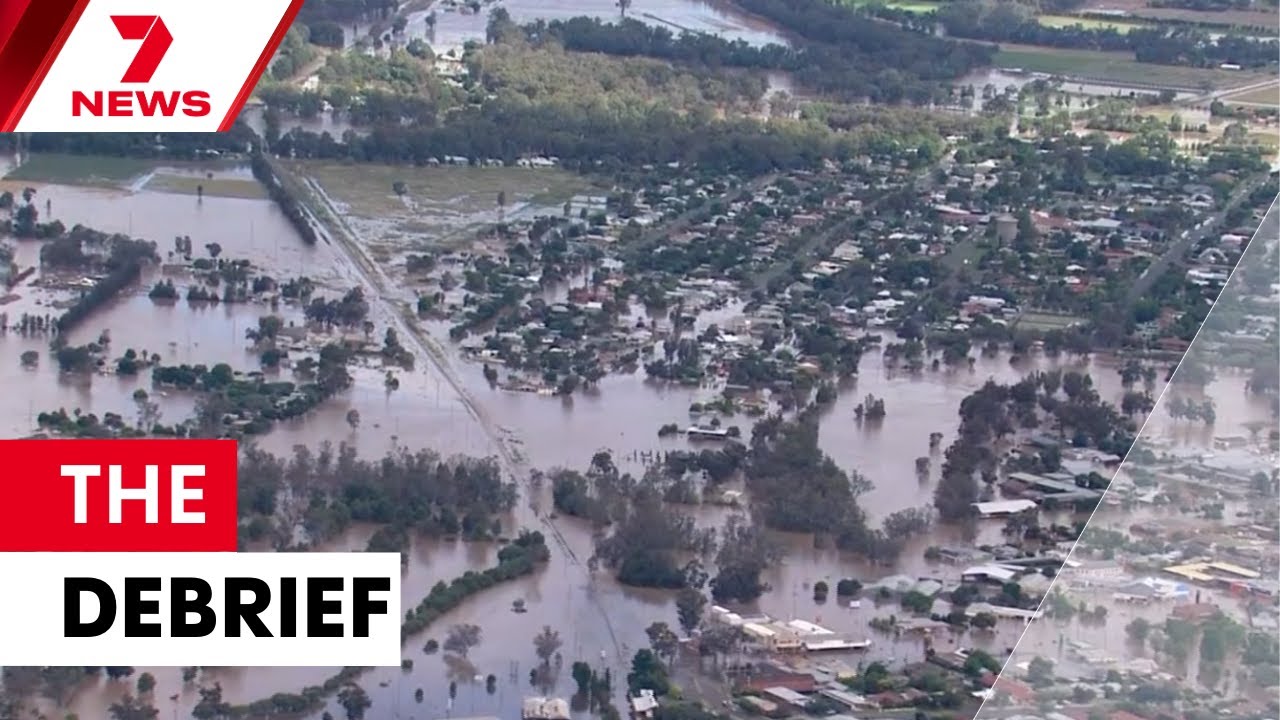 Millions consider ditching home insurance and One Nation support grows | 7NEWS