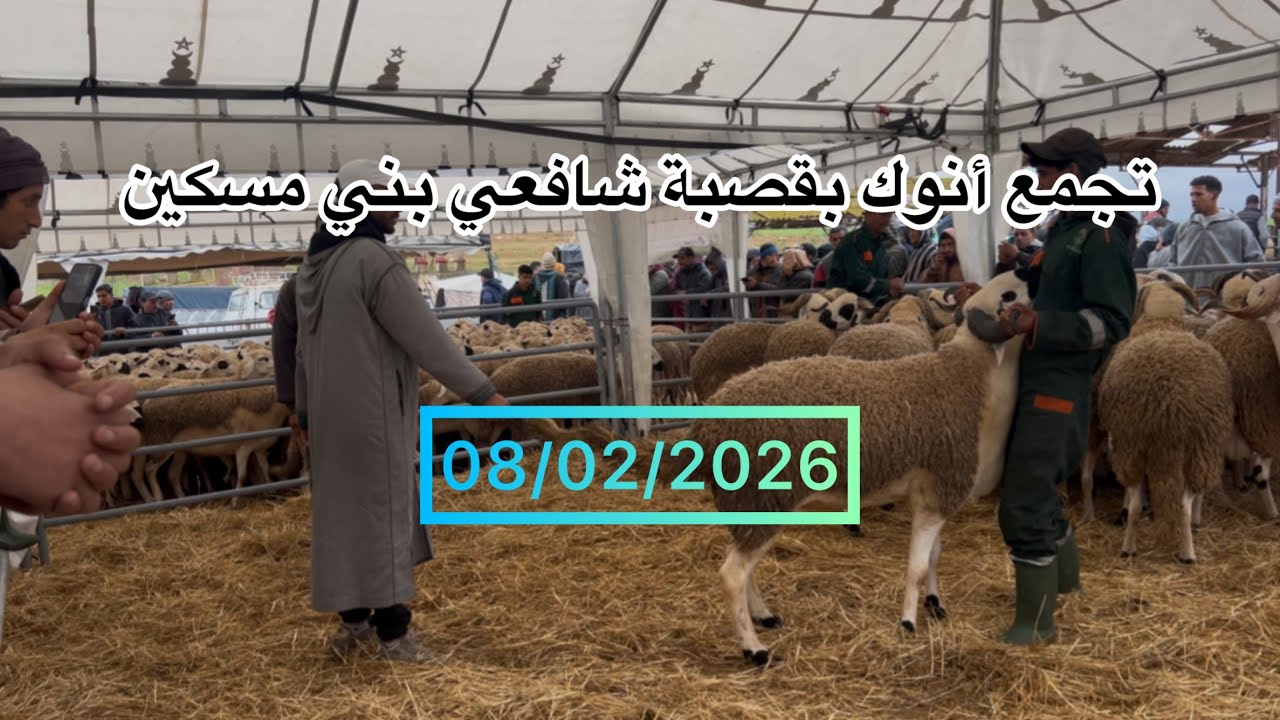 نتواجد بتجمع انوك بمنطقة بني مسكين تابعو فيديو فرجة ممتعة 08/02/2026
