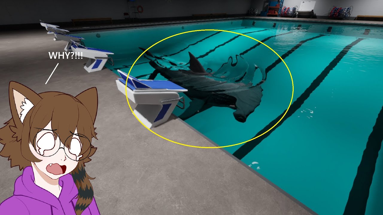 WHY?!!! WHY IS THERE A SHARK IN THE POOL?!!!