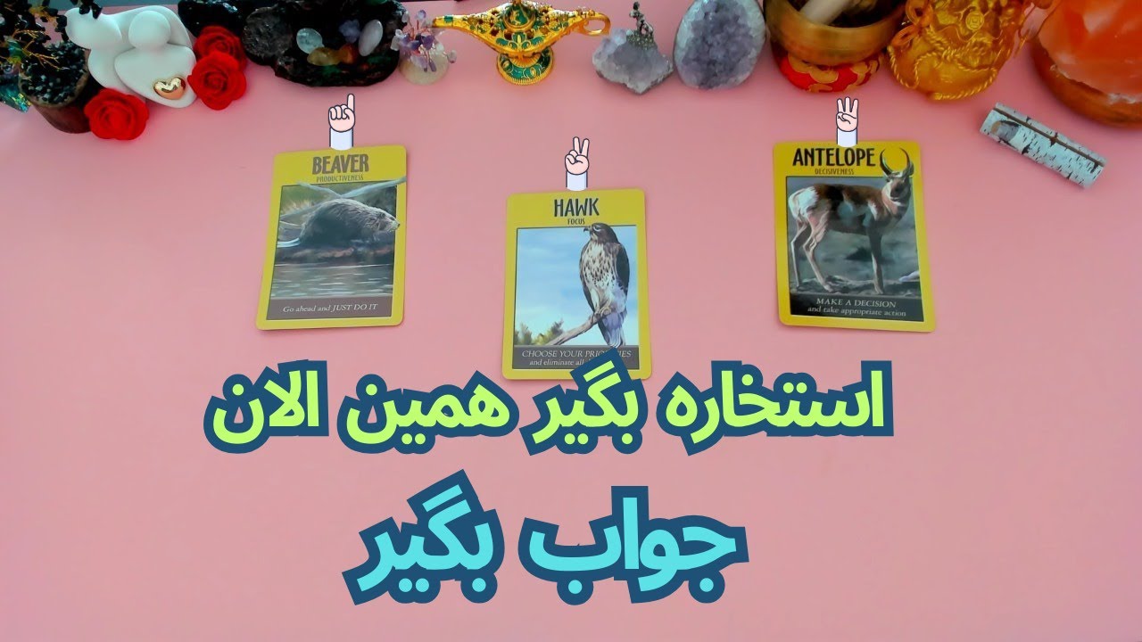 استخاره میخوای بگیری بیا تا برات جواب دقیق را بدم
