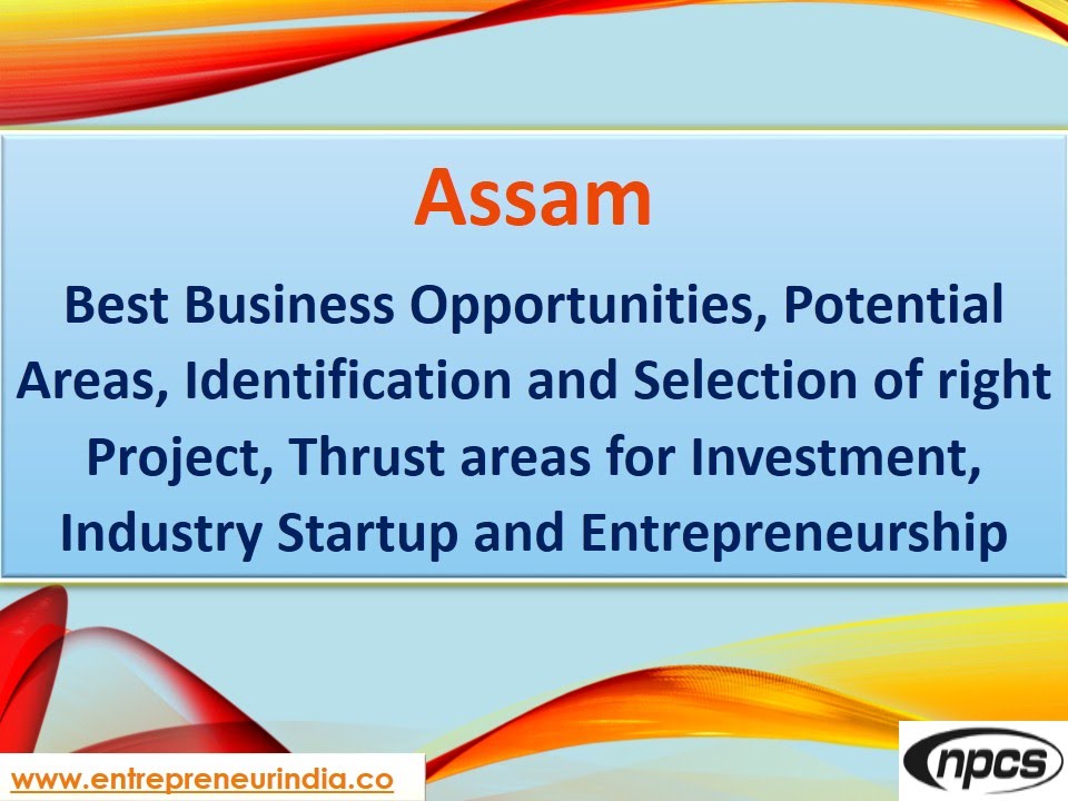 Assam - Best Business Opportunities, Potential Areas, Identification and Selection of right Project.