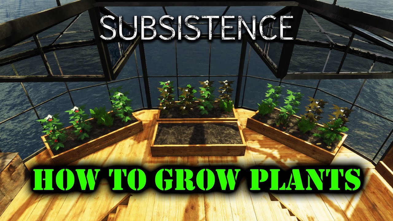 How to Grow Plants in Subsistence