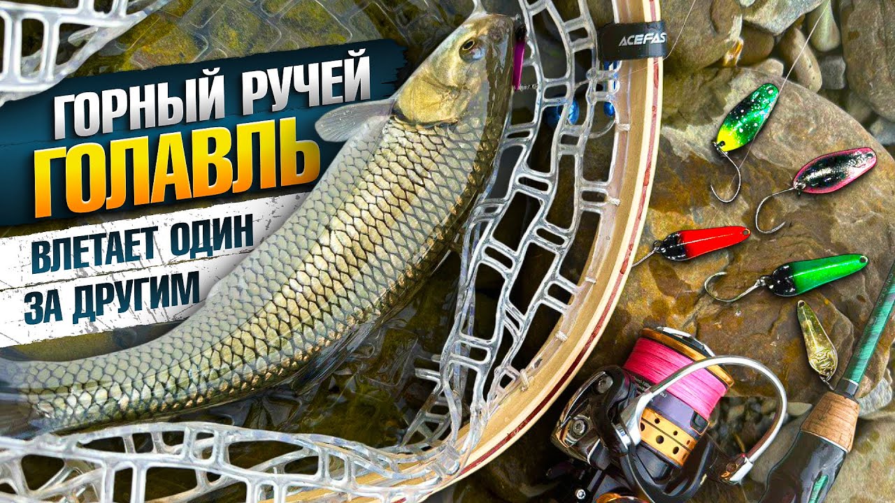 Горный ручей: в поисках голавля и форели | Ловля на микро-колебалки “ТЛЕЦ”