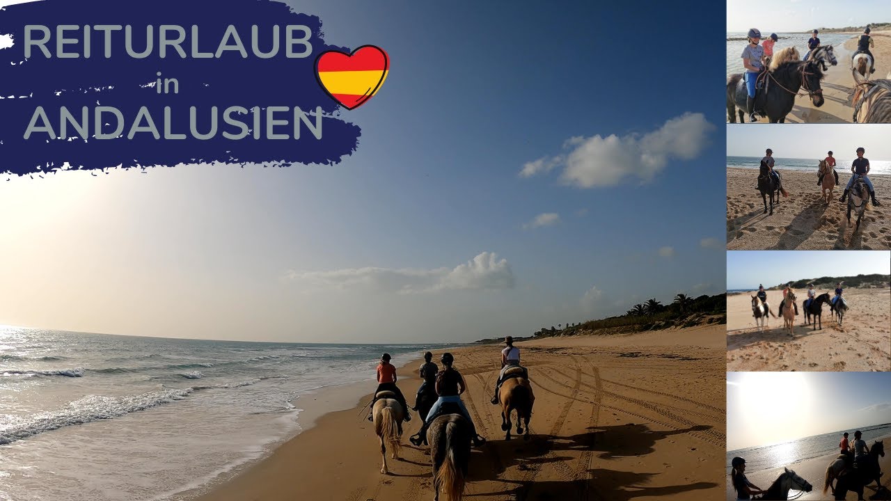 Reiturlaub in Andalusien 🐴☀️ | Royal Horsemen®