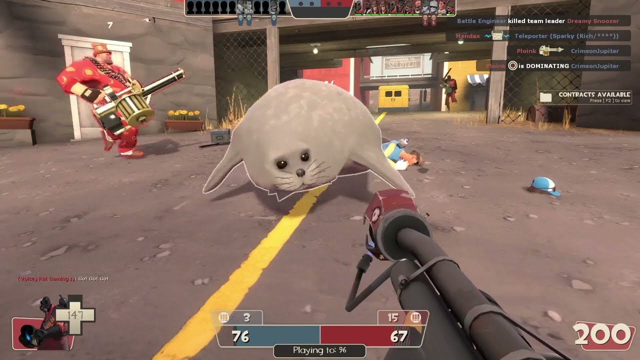 seal