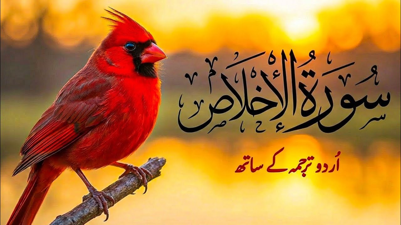 #quran. Surah Ikhlas — Allah Kisi Jaisa Kyun Nahi Complete Explanation 🫀