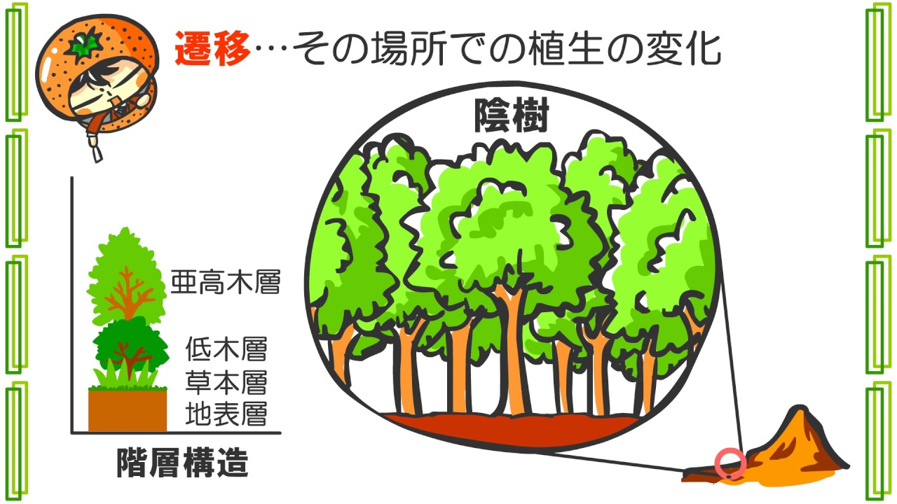 生物０章５話「植物の遷移」ｂｙWEB玉塾