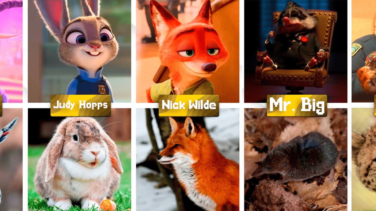 Zootopia Characters in Real Life 🦊🐰