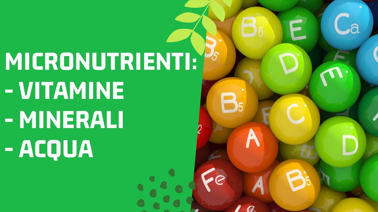 MICRONUTRIENTI: elementi che non vedi VITALI e PREZIOSI!