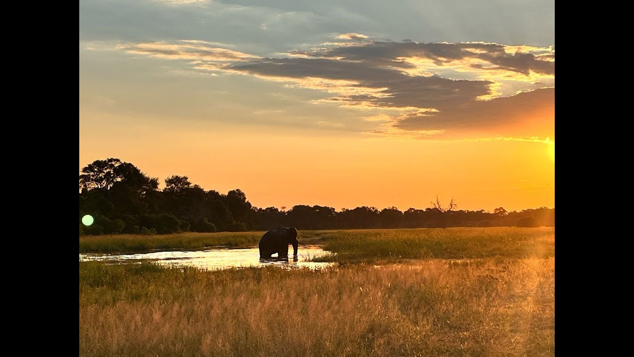 Botswana Camping 2025