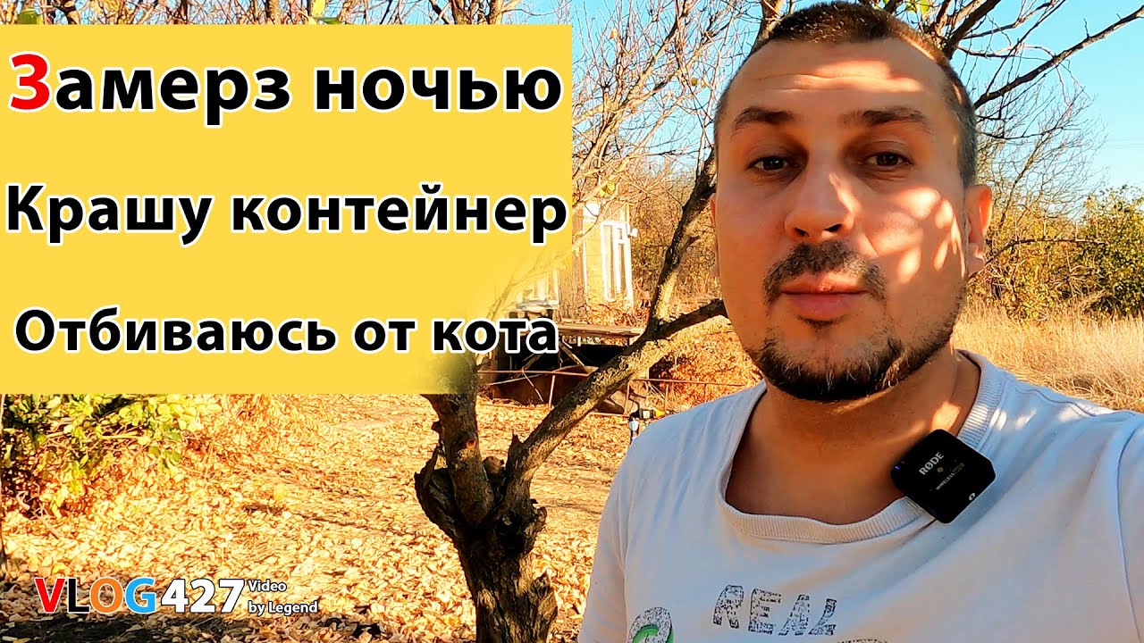 Дачный день. Замерз на даче ночью. Крашу Контейнер. Отбиваюсь от кота #Одесса #дача #дачнаяжизнь