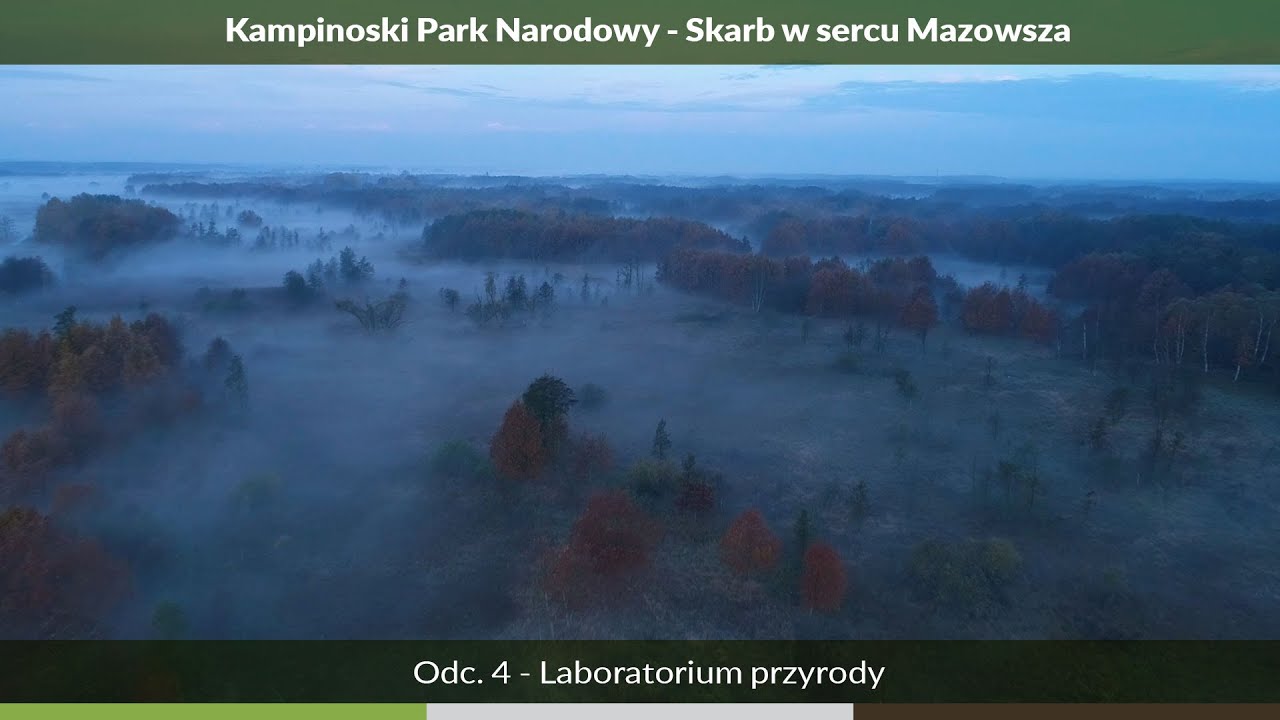 Kampinoski Park Narodowy — Skarb w sercu Mazowsza odc. 4 