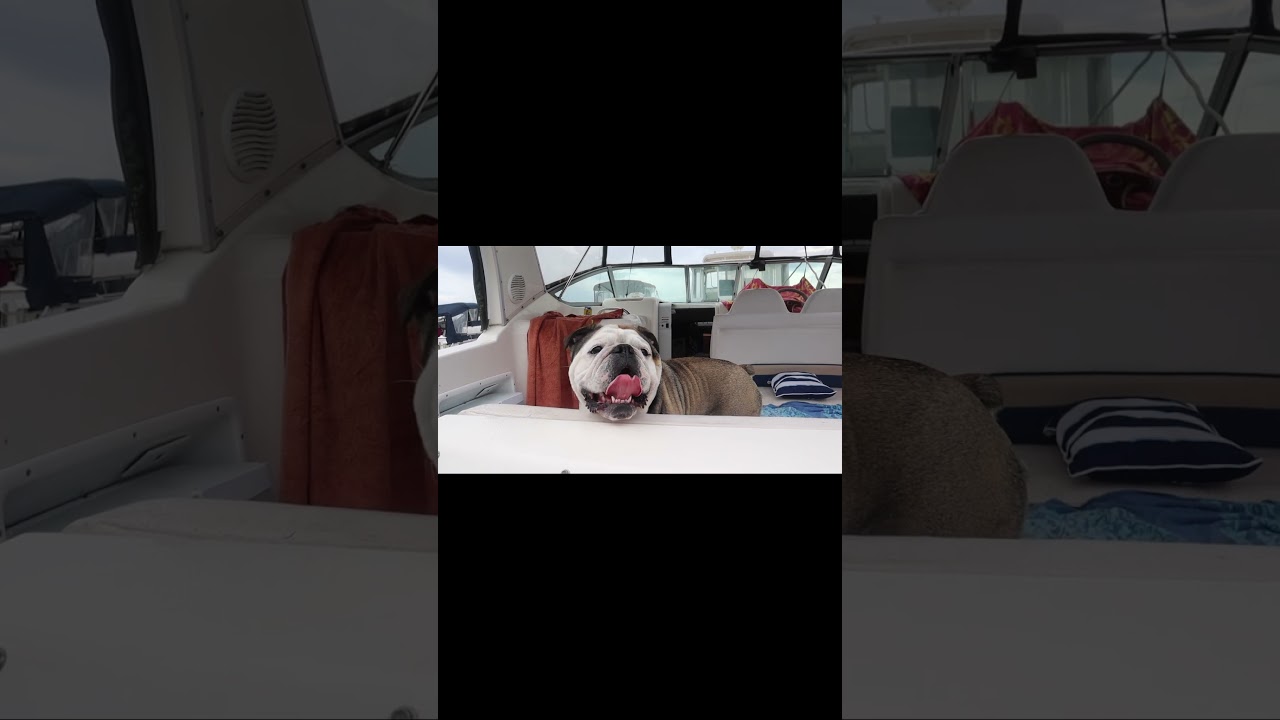 Otis  