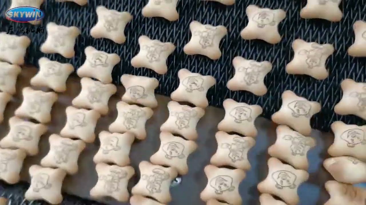 SKYWIN HELLO PANDA BISCUIT COCOMO BISCUITS PRODUCTION LINE