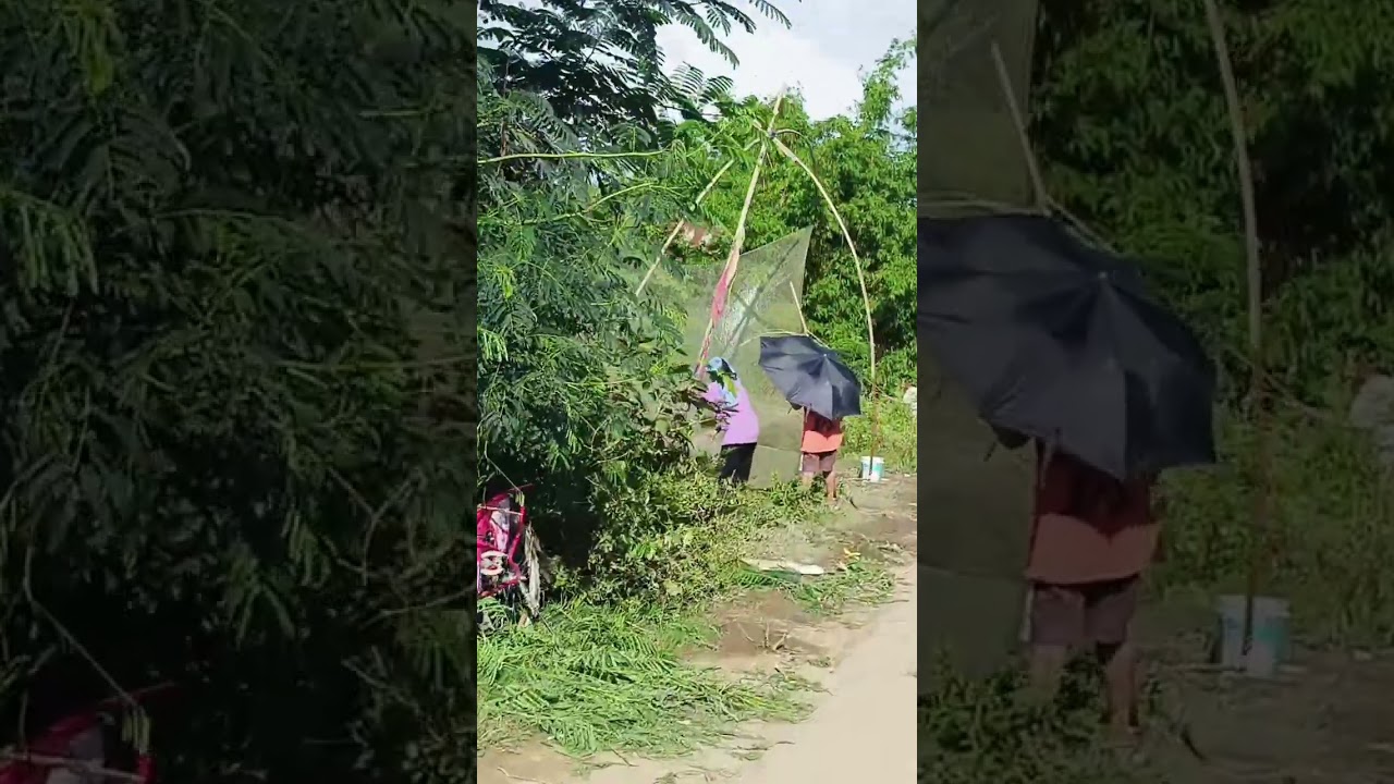 keirao Pali Dt 4 koiruba nga faba yengluba