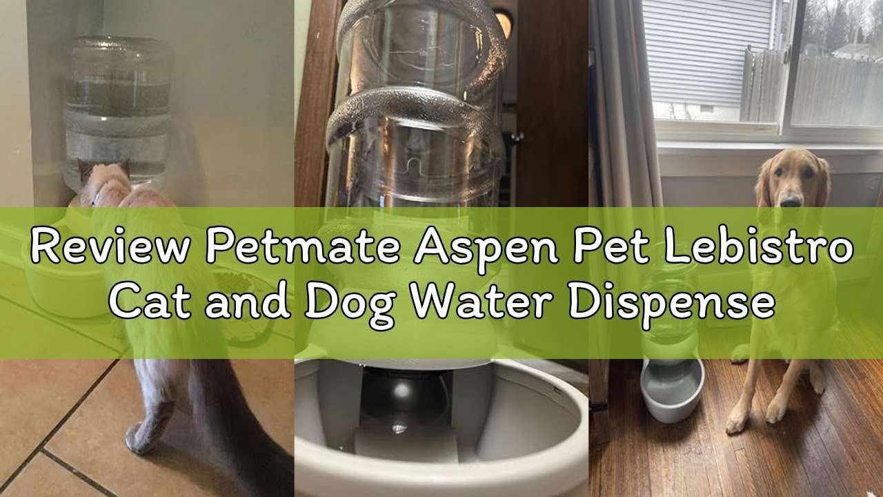 Review Petmate Aspen Pet Lebistro Cat and Dog Water Dispenser, Made in USA