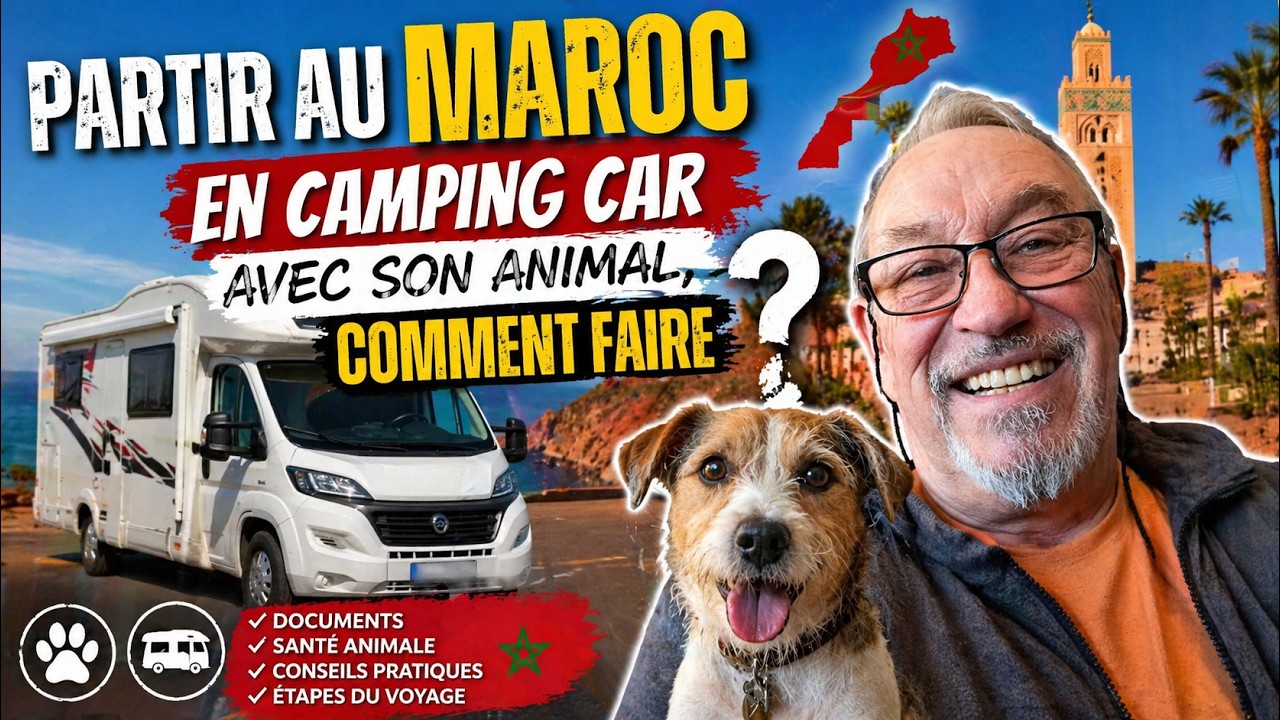 Partir au Maroc avec son animal, comment faire  ?