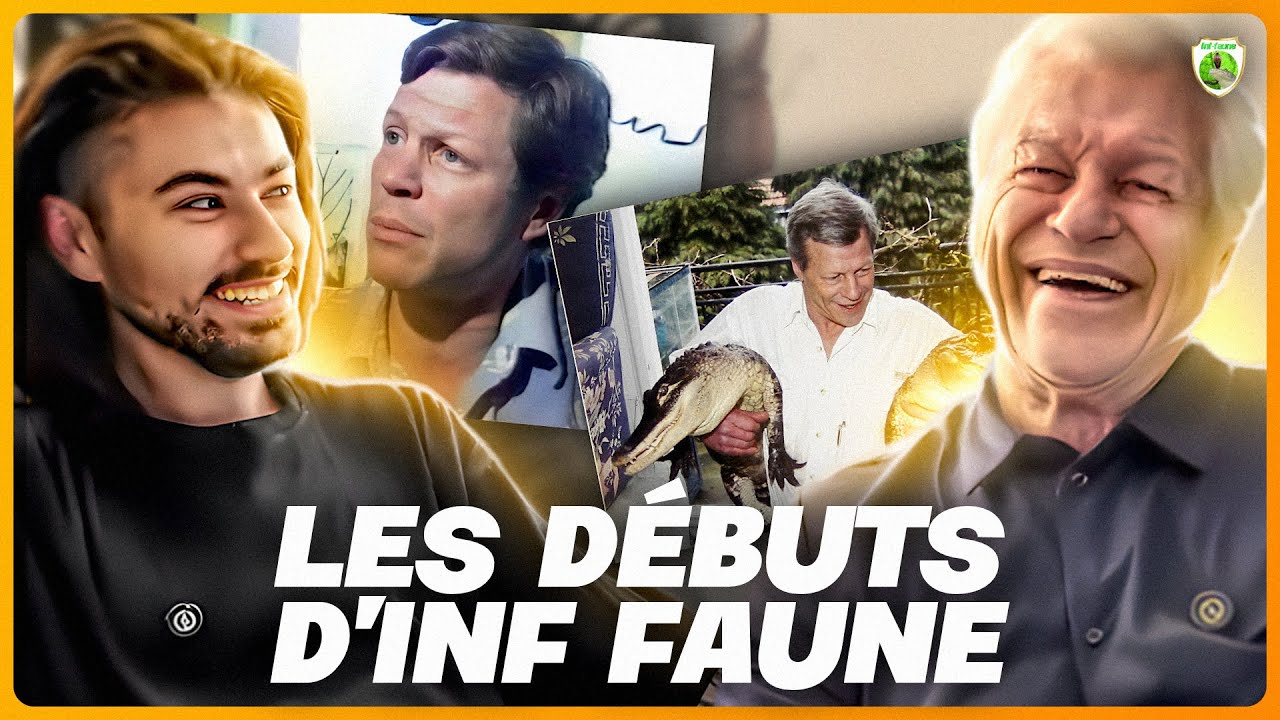 AU COIN DU FEU 🔥 #3 : LES DÉBUTS D'INF-FAUNE !