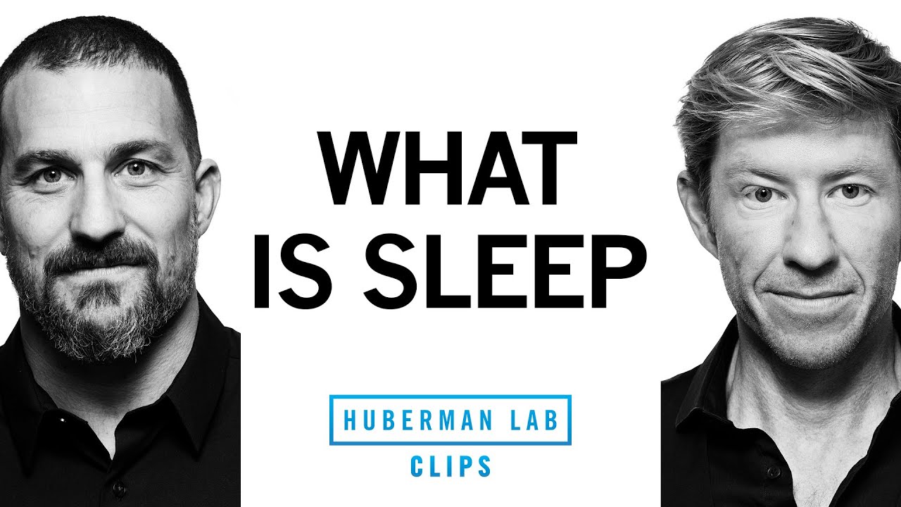 What is Sleep? | Dr. Andrew Huberman & Dr. Matthew Walker