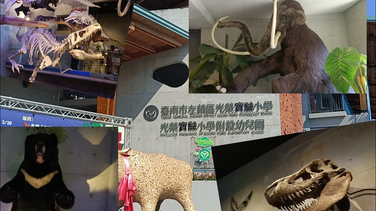 阿鴻「211」戶外特別篇（台南）2026新春特別篇 左鎮化石園區 參觀 臺灣所有的化石都在這裡！！