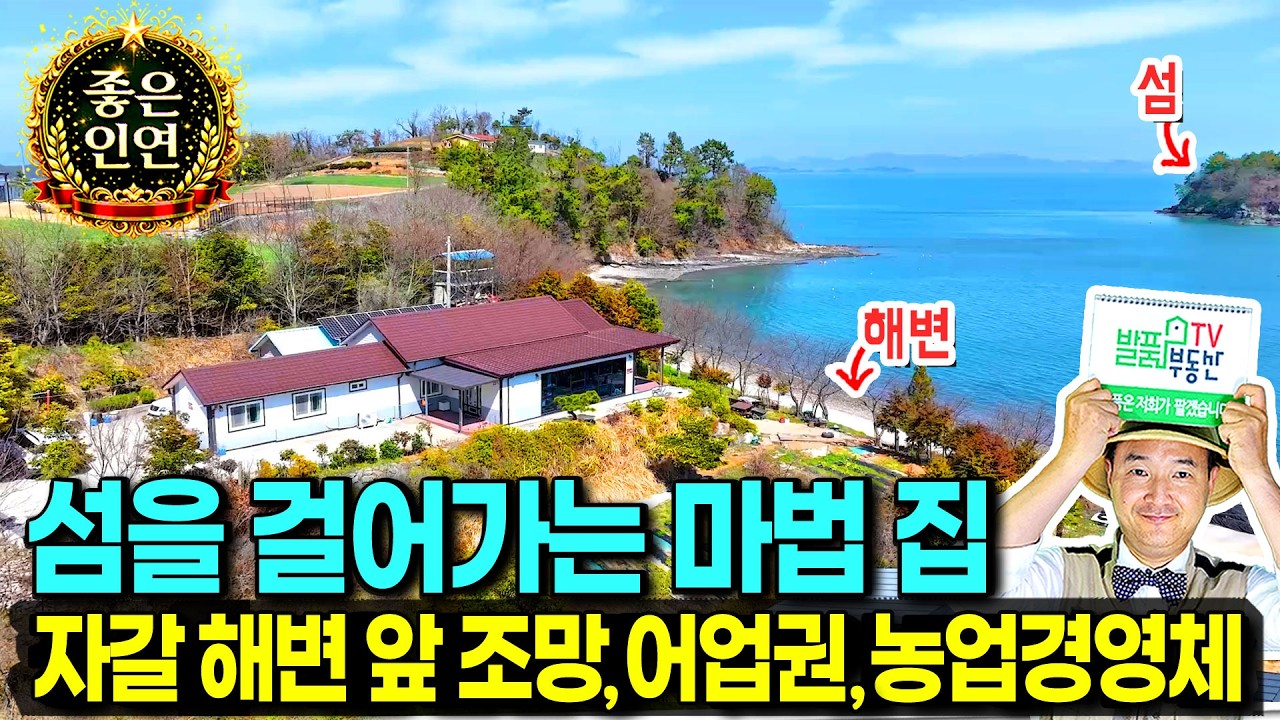 (강추) 2백미터 자갈 해변 앞 걸어서 섬까지 가는 집 전원주택 매매 모세의 기적 처럼 해삼 소라 잡아요 농업경영체 어업권 등록 영화촬영도 한 고흥부동산 - 발품부동산TV