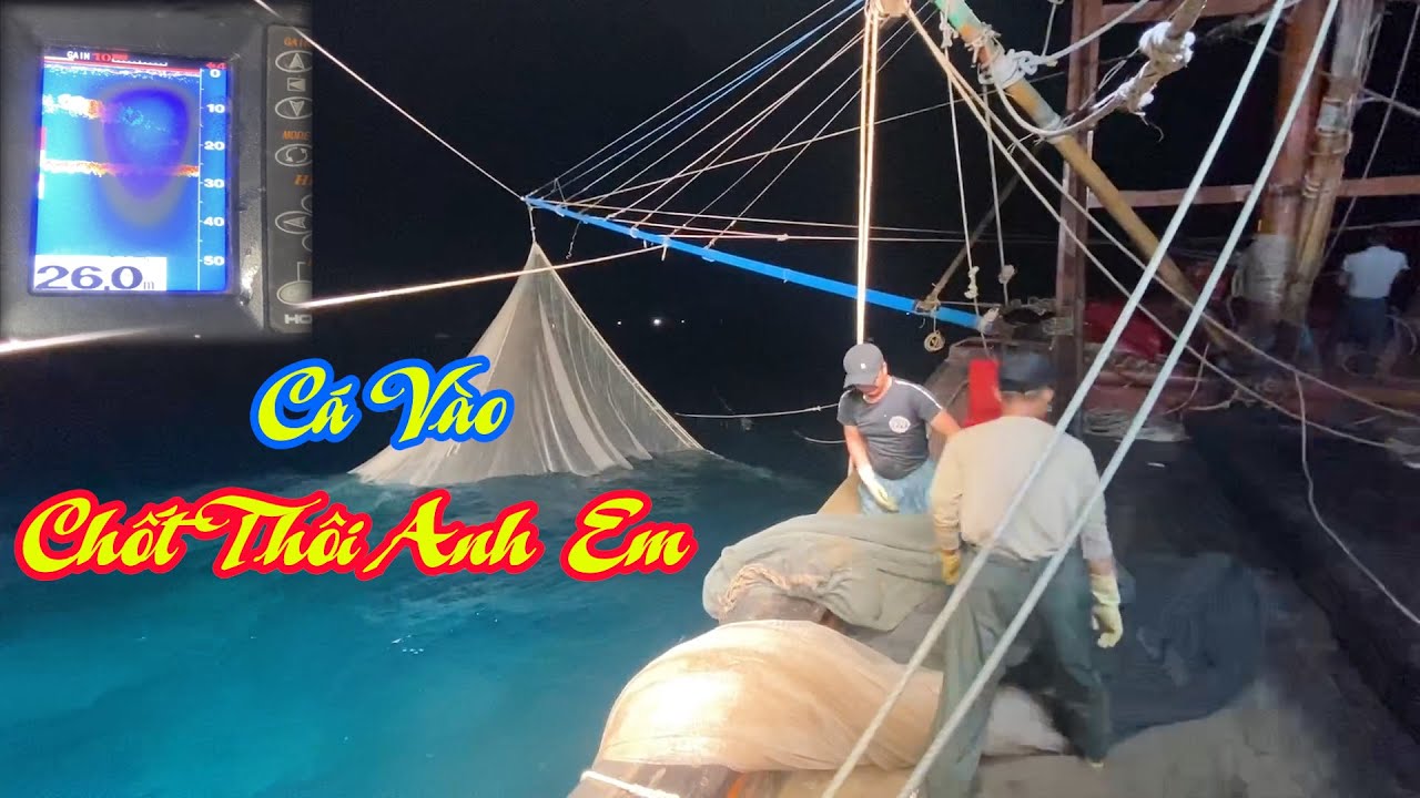 Mành chụp tôm mòi và giàn led khủng rời bến đà nẵng đi đánh cá sòng - Dân Biển