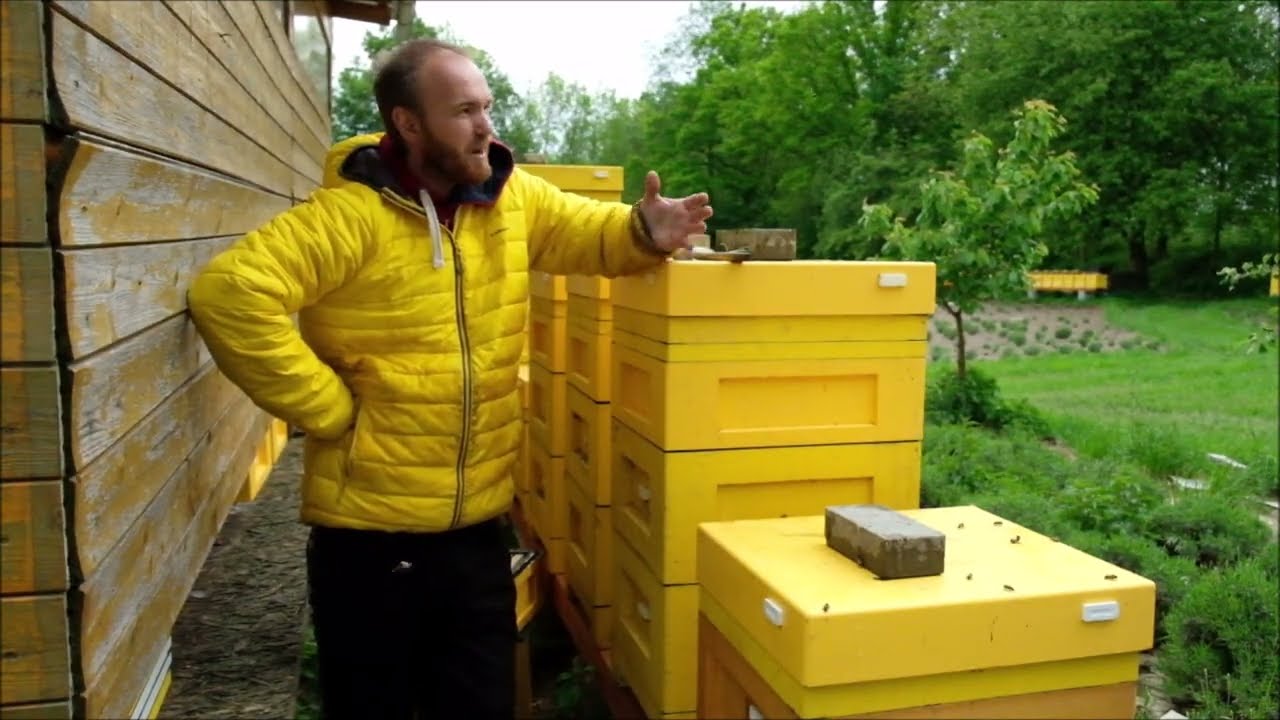 Nasazení výkluzů, sundavání medníků a záběry z medárny.