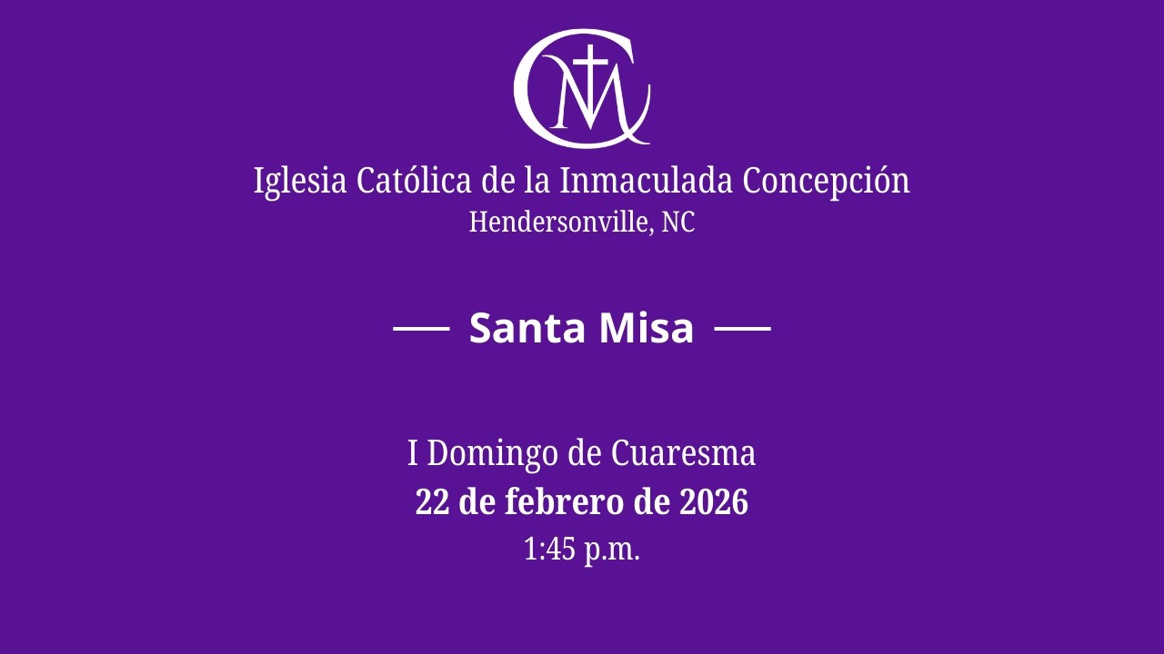 Santa Misa Febrero 22, 2026