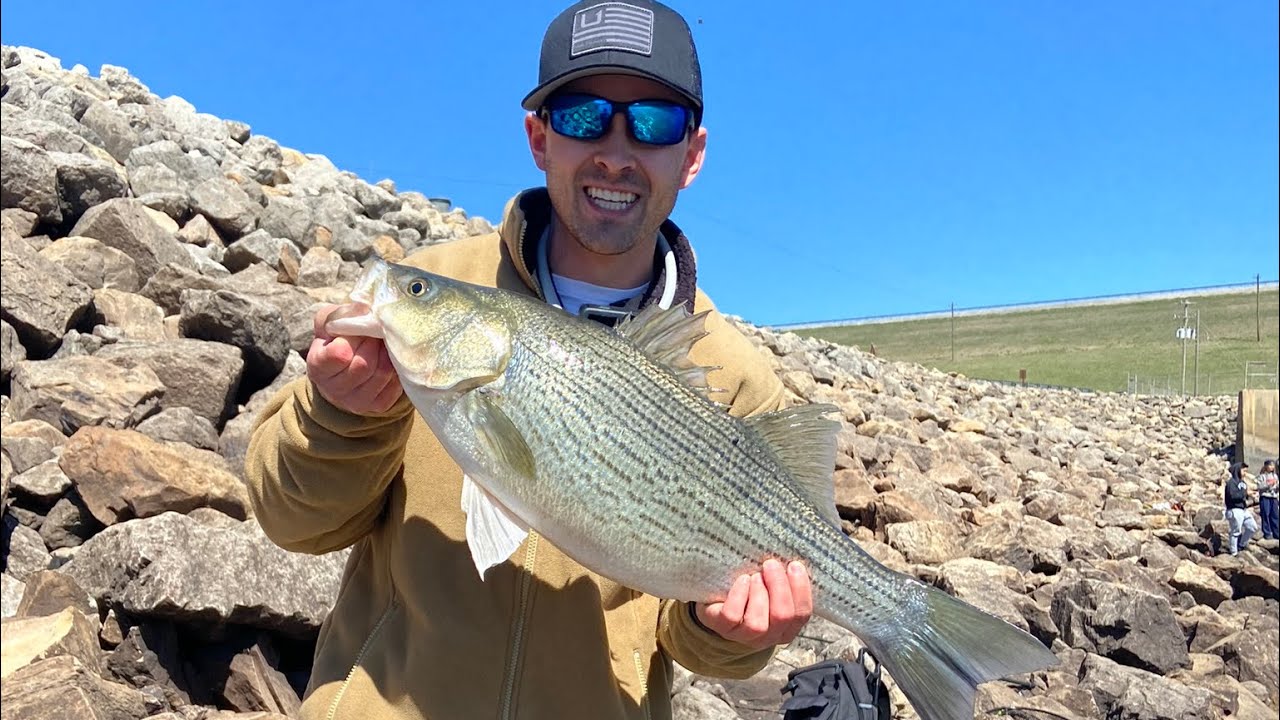 Hybrid Striped Bass | White Bass | Oologah Lake Dam | Alabama Rig | Spawn | Part 1