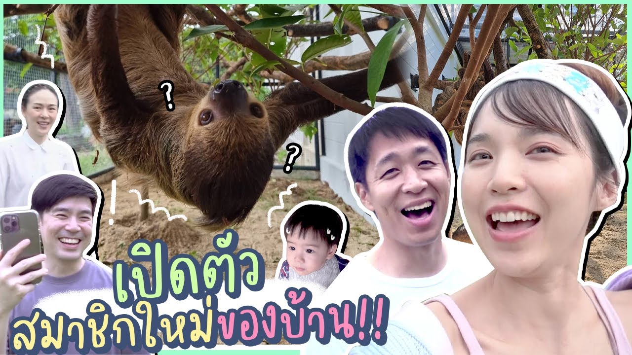 [Home tour] ต้อนรับสมาชิกใหม่!! น้องสล็อทมาแว้วววจ้า | Buablink