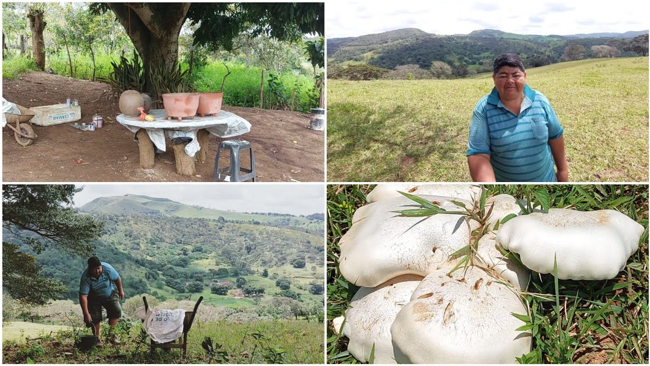 FUI NA SERRA PEGAR PEDRA PRO JARDIM + VEJAM QUE VISTA MARAVILHOSA DAS MONTANHAS 