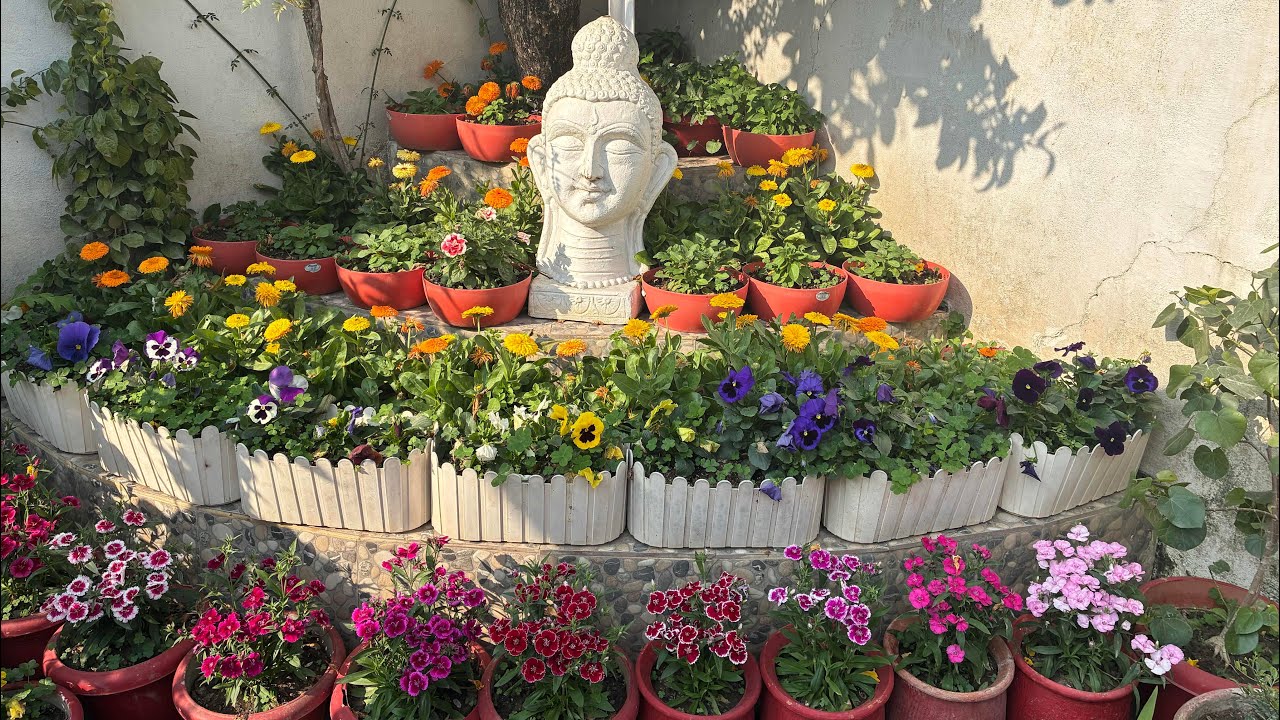 Sunday garden overview #trending #garden #gardenflowers 