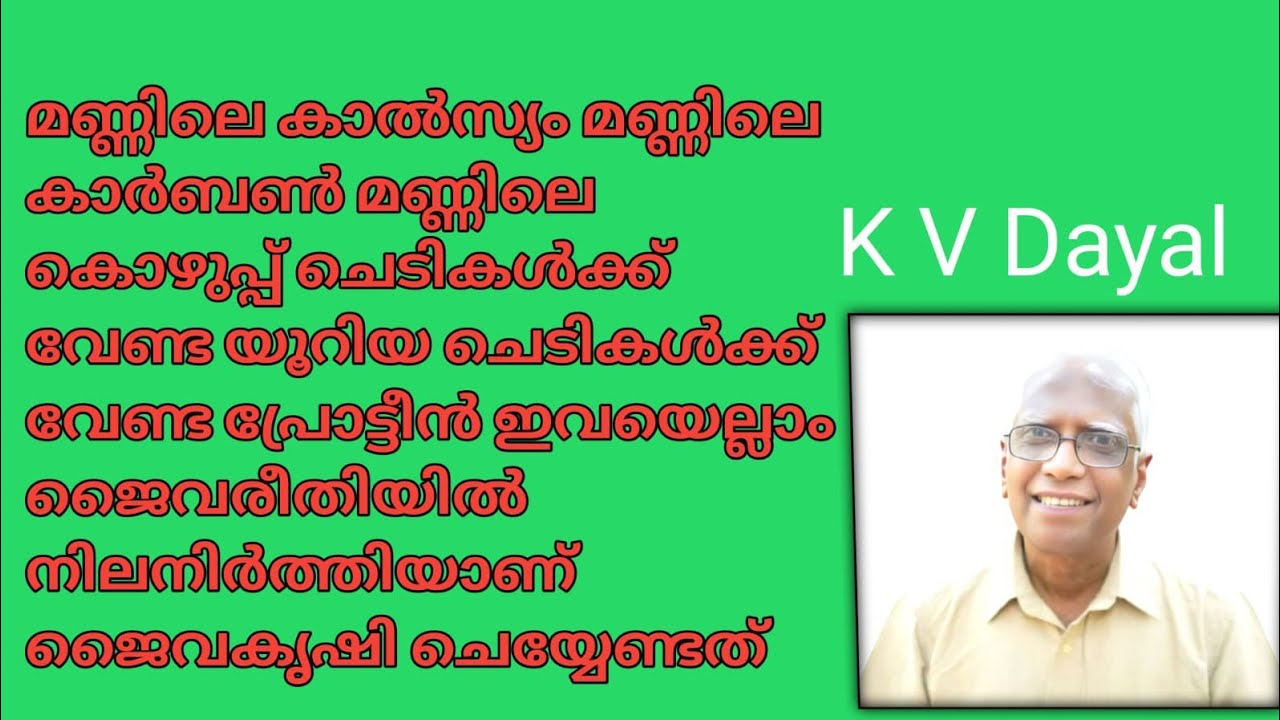 കൃഷിയിൽ നിർബന്ധമായും ഇത് ചേർത്തിരിക്കണം @ K V Dayal
