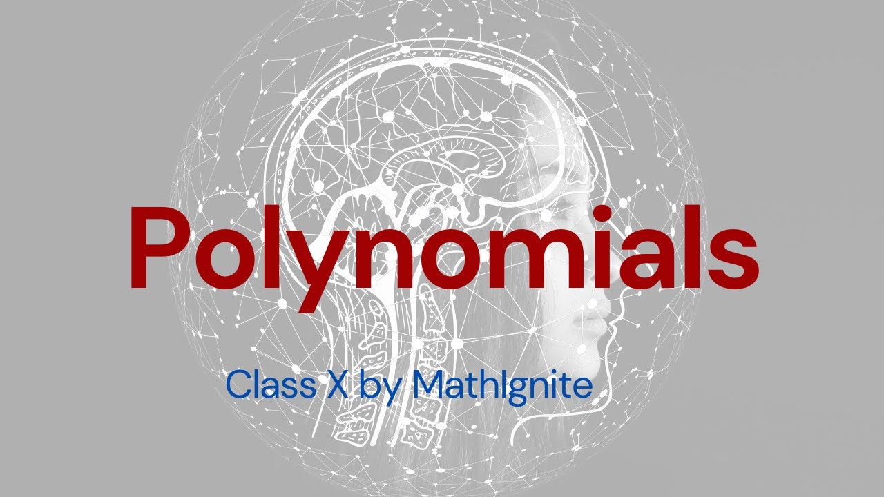 POLYNOMIAL 4