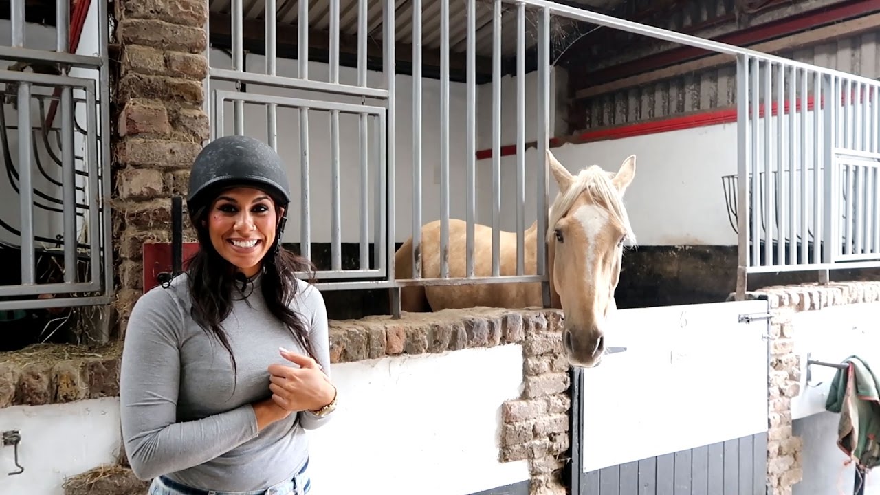 Horse Riding Dublin - The Paddocks